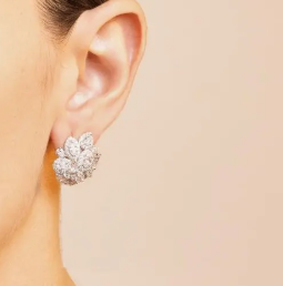 Brinco Cluster - Image 2